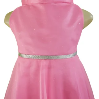 Candy Pink High Neck Dress