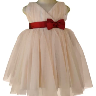 Champagne V-Neck Dress