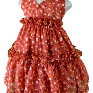 Rust Ruffled Georgette Dress